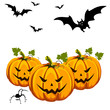 Vector: Halloween pumpkin and bats Halloween pumpkin and bats