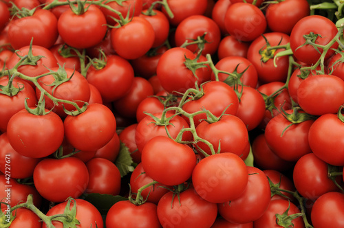 Photo: tomato tomato