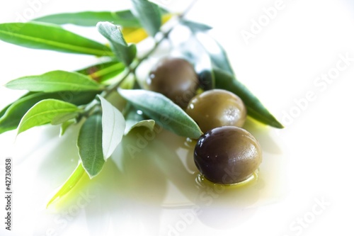 Foto: olives and oil with leaves olives and oil with leaves