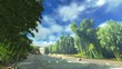 Video: Bamboo forest Bamboo forest