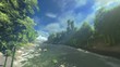 Bamboo forest