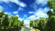 Bamboo forest
