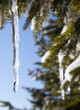 Eiszapfen