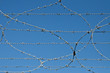 Barbed wire