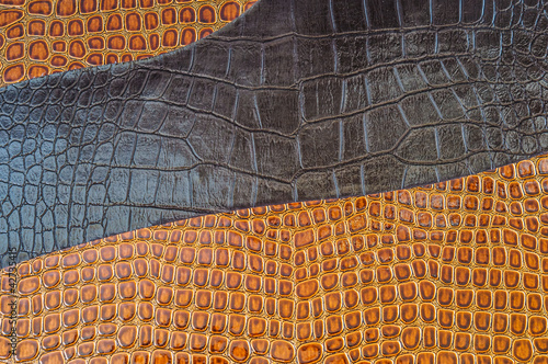 Photo: Background of the crocodile Background of the crocodile