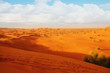 Arabian desert