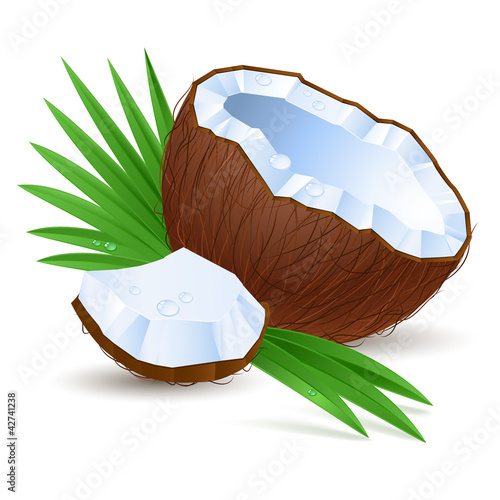 Vector: Half a coconut Half a coconut