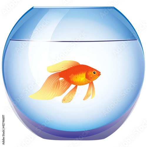 Vector: Aquarium with goldfish Aquarium with goldfish