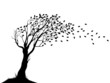 Autumn tree silhouette