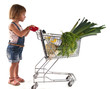 Photo: fillette de deux ans qui fait ses courses fillette de deux ans qui fait ses courses