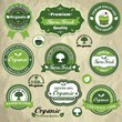Vintage frame with organic label template set