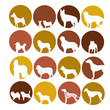 Dog icon set in circle style