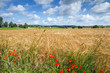 Photo: Gerstenfeld in Bayern Gerstenfeld in Bayern