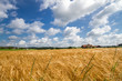Photo: Gerstenfeld in Bayern Gerstenfeld in Bayern
