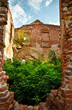 ruins of old castle