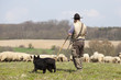 Schäfer mit Hütehund