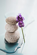 Wellness Stones I