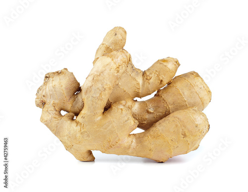Photo: Rizoma di Zenzero (Zingiber officinale) Rizoma di Zenzero (Zingiber officinale)