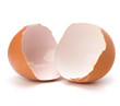 broken eggshell