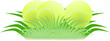 tenis ziemny