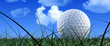 Golf Ball On Green Grass