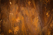 Rusted metal background