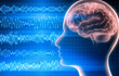 EEG 3