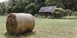 Hay....
