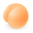 Vector: Buttocks Buttocks