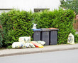 Mülltonne und gelbe Säcke am Strassenrand