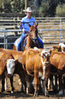 Girl riding a horse in competition