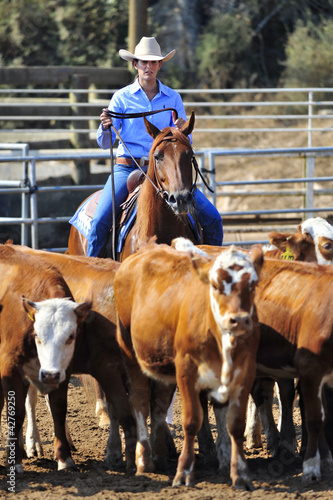 Photo: Girl riding a horse in competition Girl riding a horse in competition