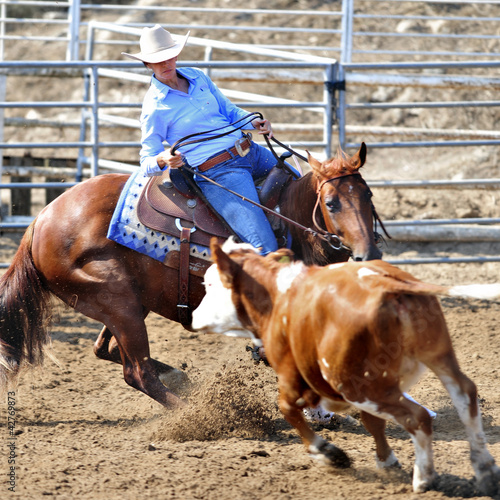 Photo: Girl riding a horse in competition Girl riding a horse in competition