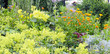 Im Bauerngarten