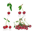 set of ripe cherry with leafs