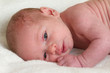 Foto: Clean baby on towel Clean baby on towel