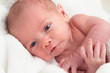 Foto: Infant on towel after bath Infant on towel after bath