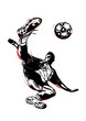 soccer player
