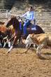 Young woman is riding a horse