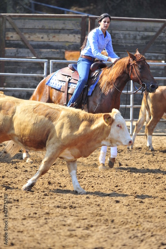 Photo: Girl riding a horse in competition Girl riding a horse in competition