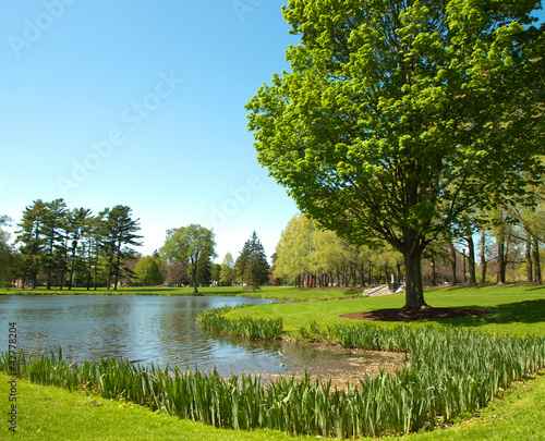 Photo: spring pond spring pond