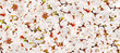 background with white cherry-tree blossom