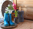 Sprig of flowering cherry in a dark blue rubber knee-boot. Seaso