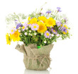 beautiful bouquet of bright  wildflowers in flowerpot, isolated