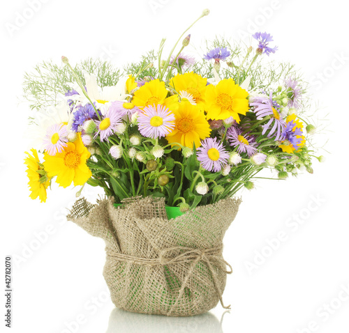 Photo: beautiful bouquet of bright wildflowers in flowerpot, isolated beautiful bouquet of bright wildflowers in flowerpot, isolated
