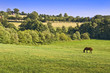Bocage normand - Calvados, France