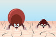 Ticks in pasture