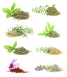 Herbs and spices collection