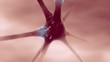 3D animation of neurons firing electric impulses.