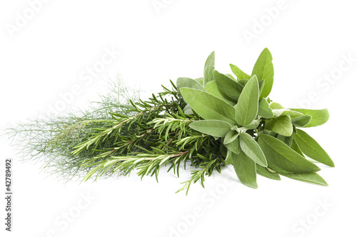 Foto: mik fennel, rosemary and sage mik fennel, rosemary and sage